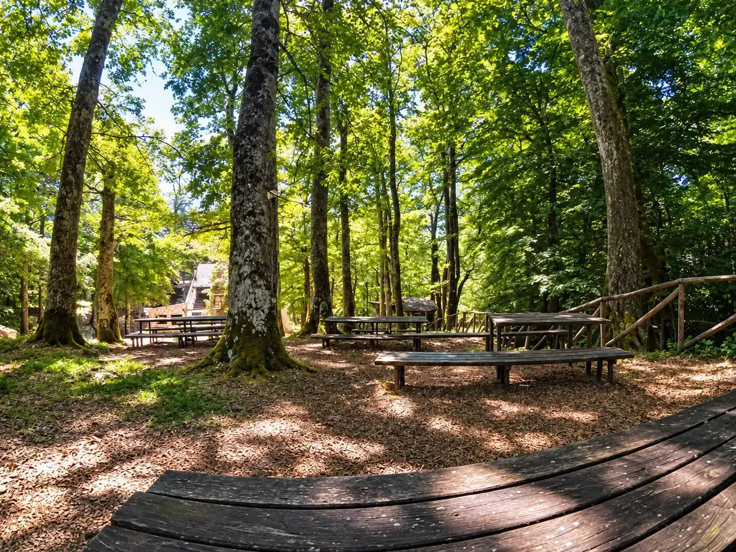 Bosco di Santa Croce e Acqua di Faggio
