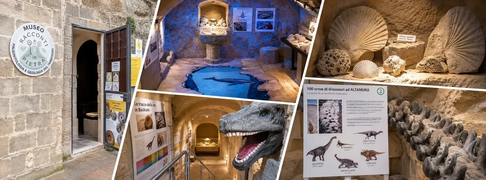 Racconti in Pietra – Museo di Paleontologia e Geologia del Territorio