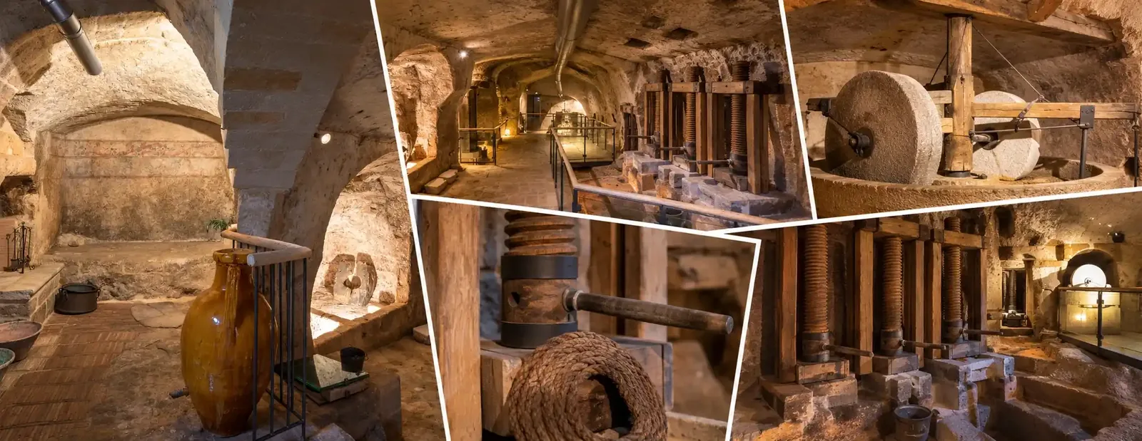 MOOM – Museo dell’Olio d’Oliva di Matera