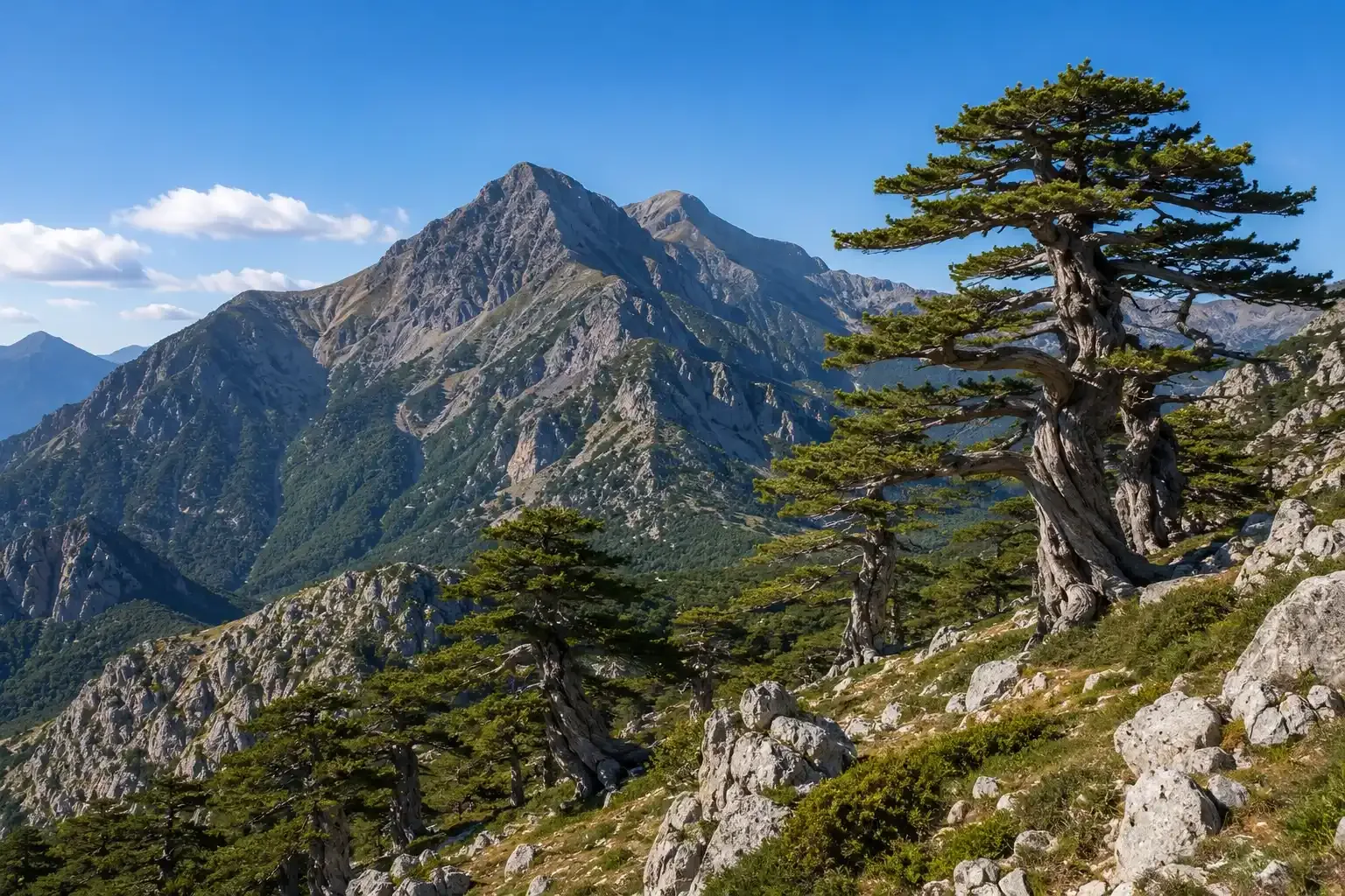 Parco del Pollino
